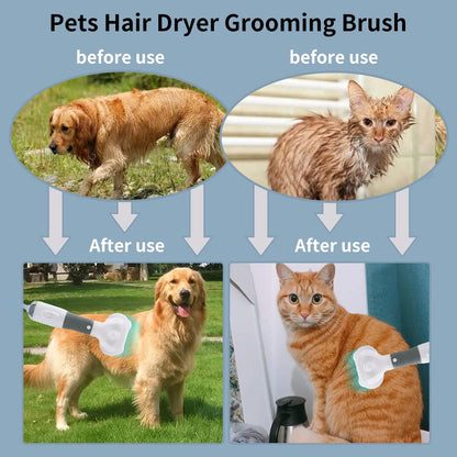 3 in 1 pet grooming pet hair dryer