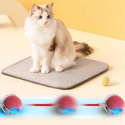 cat teasing ball