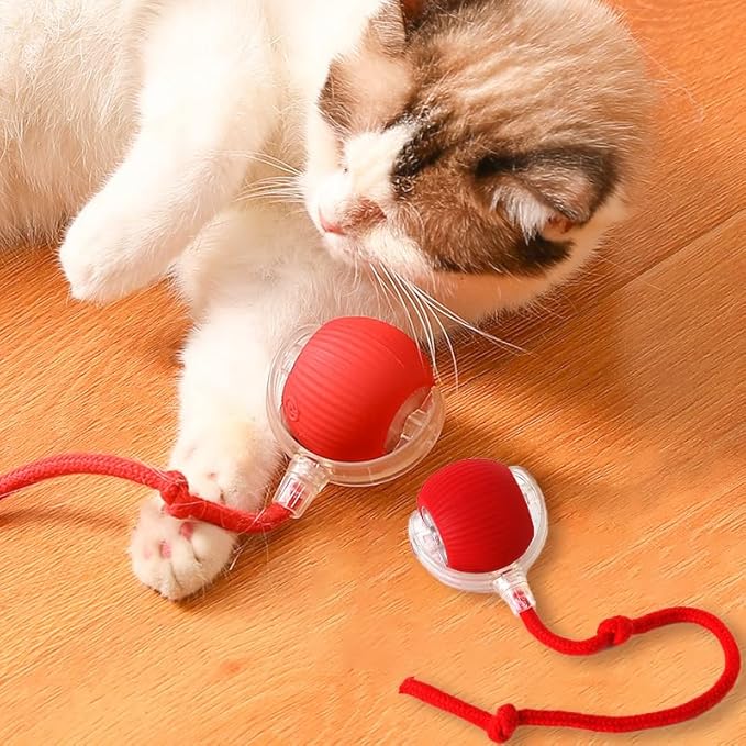 cat teasing ball