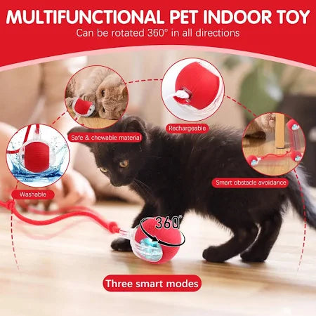 cat teasing ball